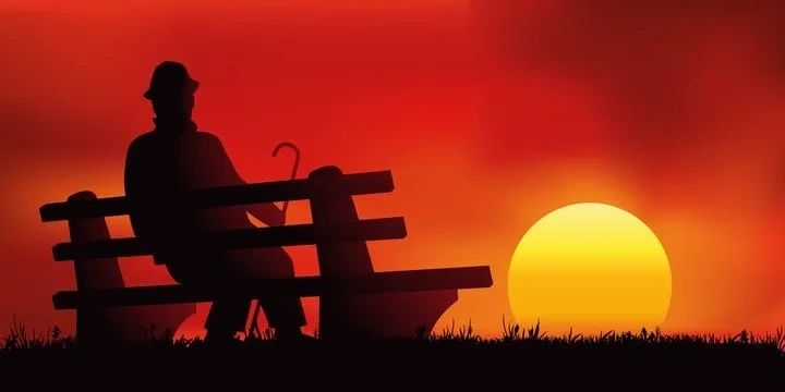 Man Sitting On The Bench